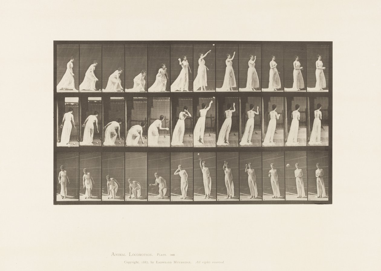 Ramasser une Balle et la Lancer, 1885 - Eadweard Muybridge