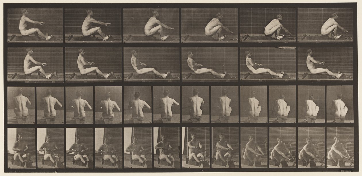 Planche 328. Aviron - Eadweard Muybridge