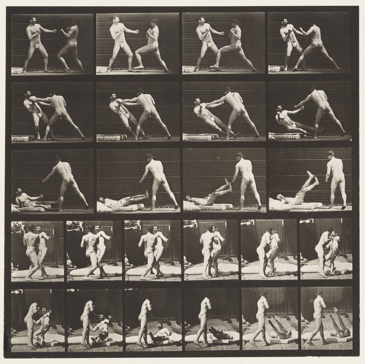 Planche 333. Boxe; 53 frappant 52 à terre (Chaussures) - Eadweard Muybridge