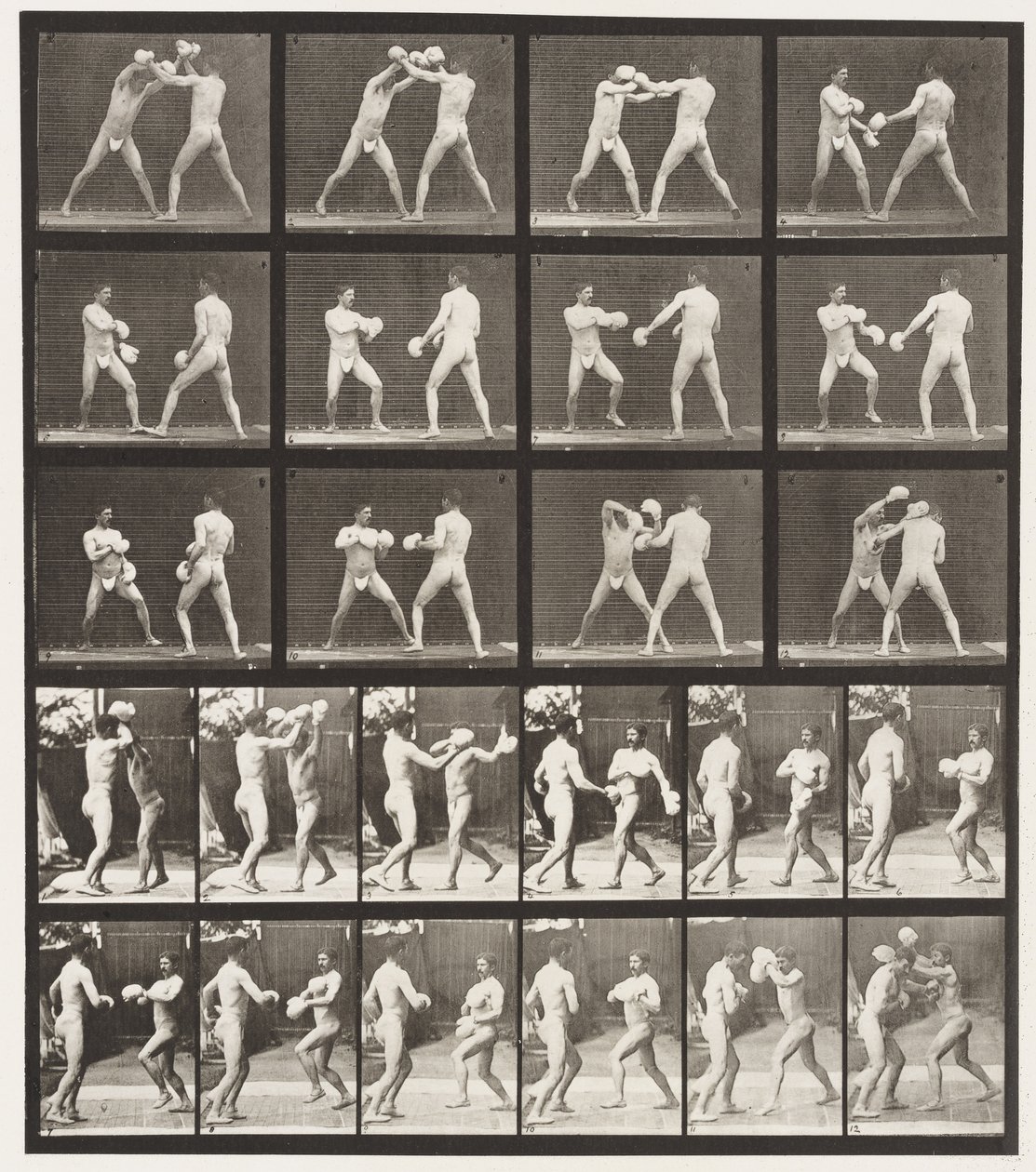 Planche 334. Boxe; avec gants (chaussures) - Eadweard Muybridge