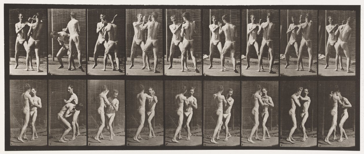 Planche 337. Boxe; Main ouverte - Eadweard Muybridge