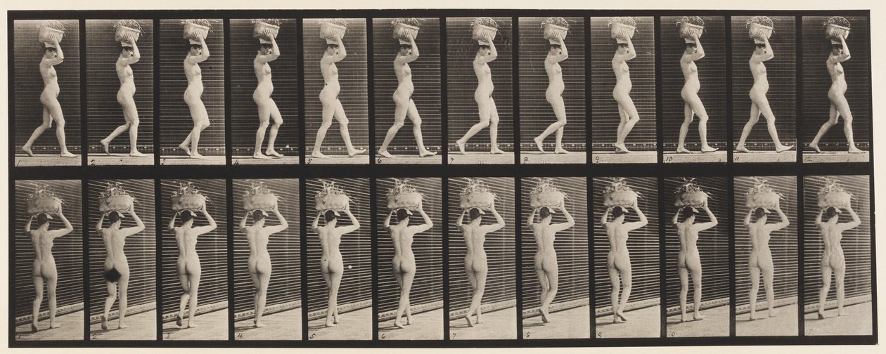 Planche 33. Marche, panier de 14 lb sur la tête, mains levées, 1872-1885 - Eadweard Muybridge
