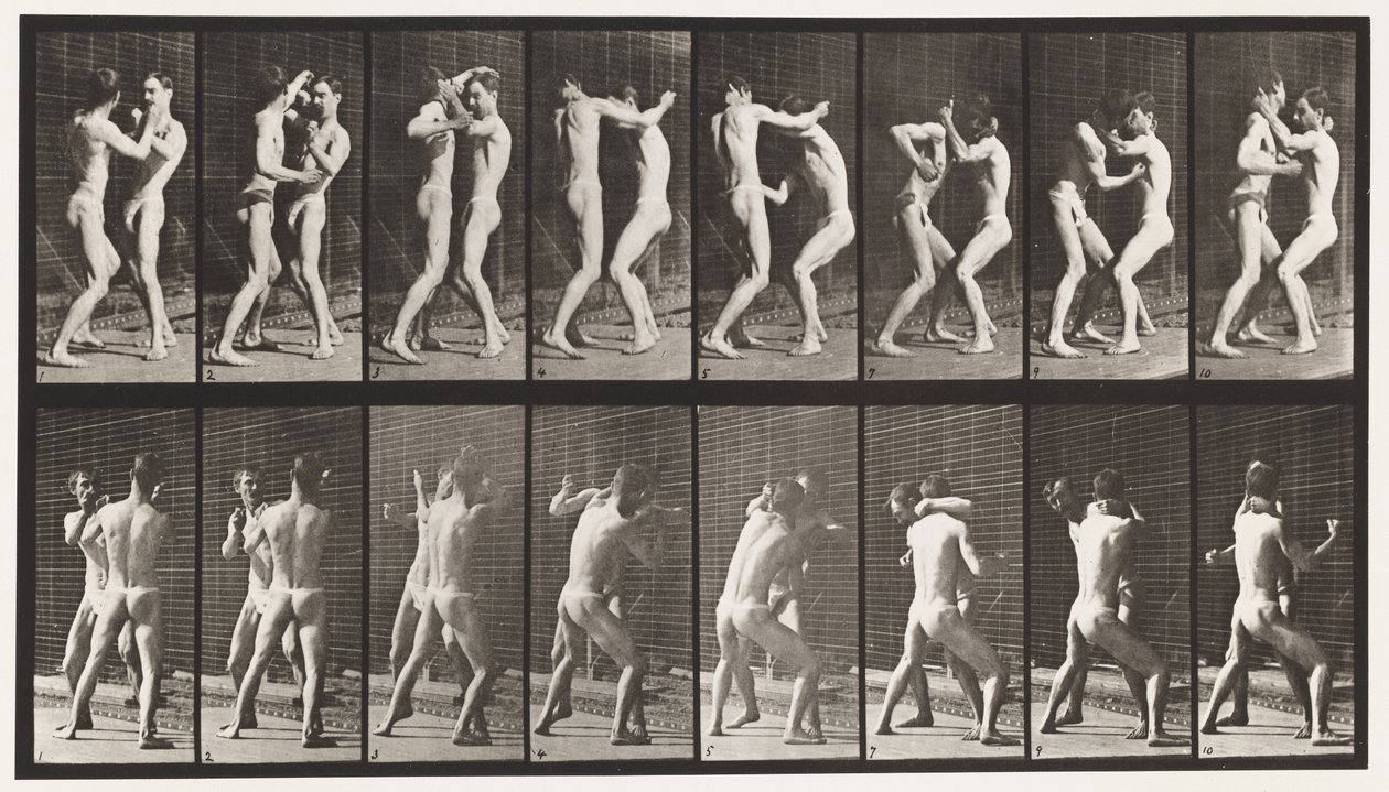 Planche 341. Boxe; Main ouverte - Eadweard Muybridge