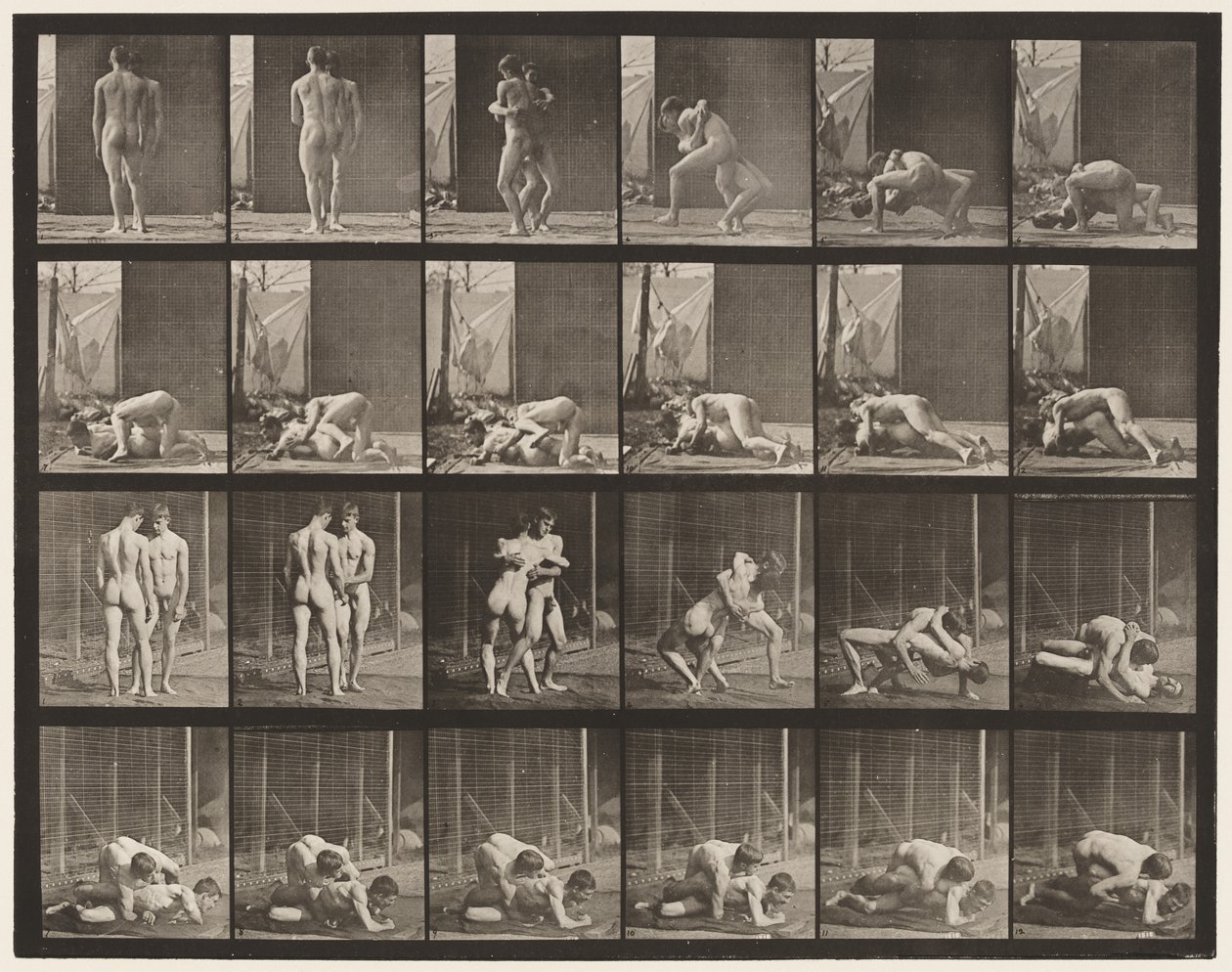 Planche 346. Lutte, verrouillage - Eadweard Muybridge