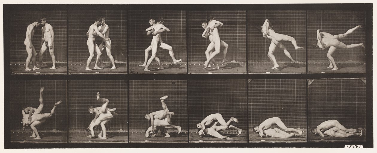 Planche 347. Lutte gréco-romaine, 1885 - Eadweard Muybridge