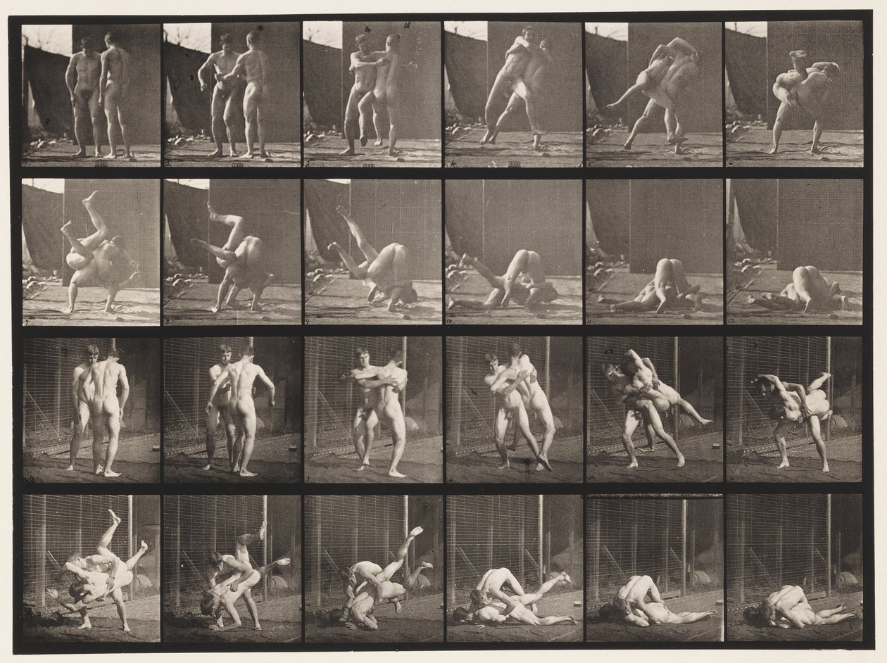 Planche 348. Lutte gréco-romaine, 1885 - Eadweard Muybridge