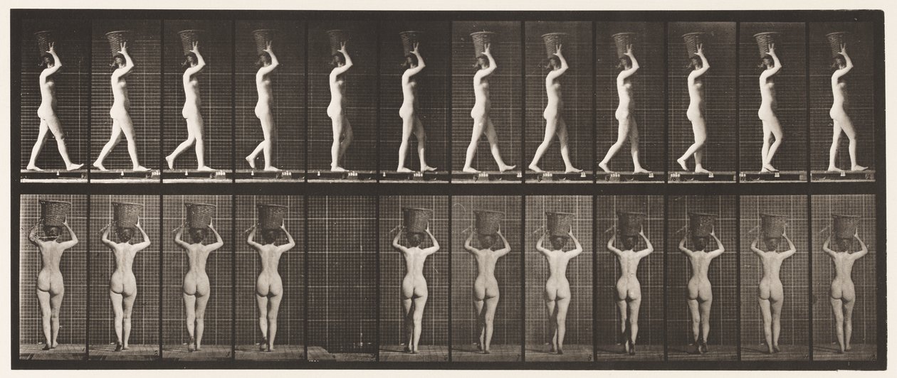 Planche 34. Marcher - Eadweard Muybridge