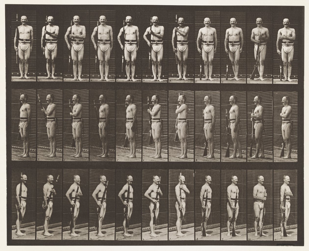Planche 354. Porter les armes, repos de parade et traîner les armes - Eadweard Muybridge