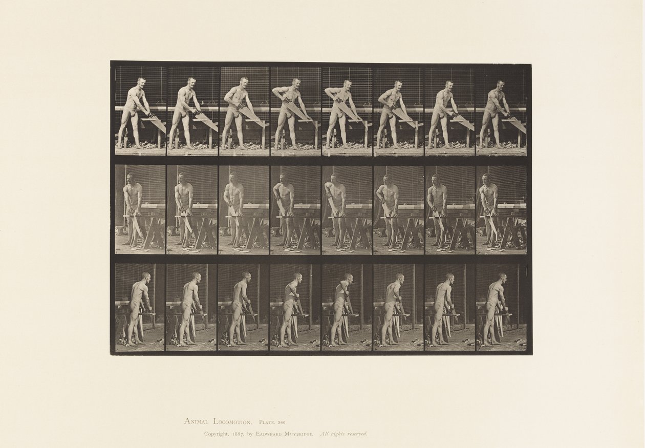 Charpentier, Scier, 1872-1885 - Eadweard Muybridge