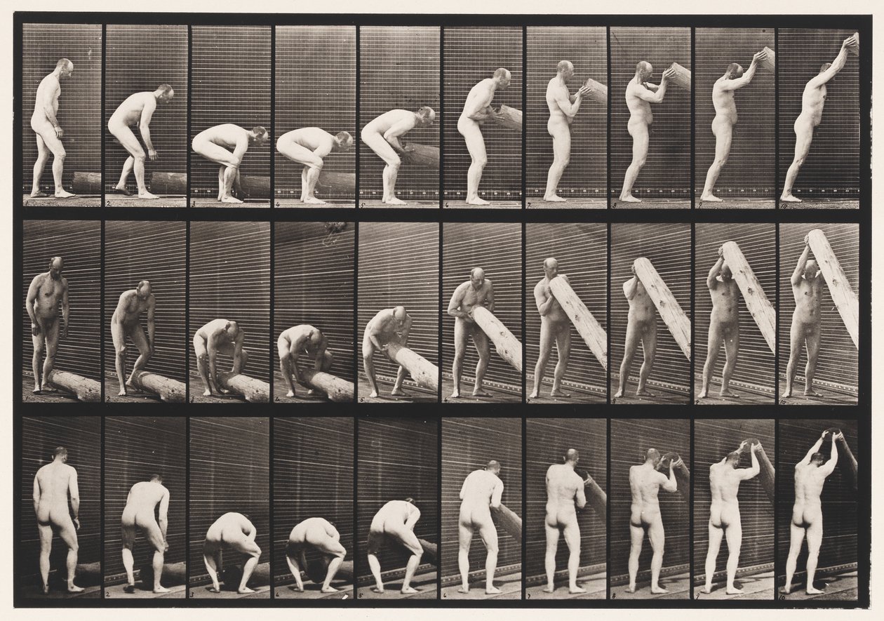 Planche 382. Soulever une bûche à la verticale, 1872-1885 - Eadweard Muybridge