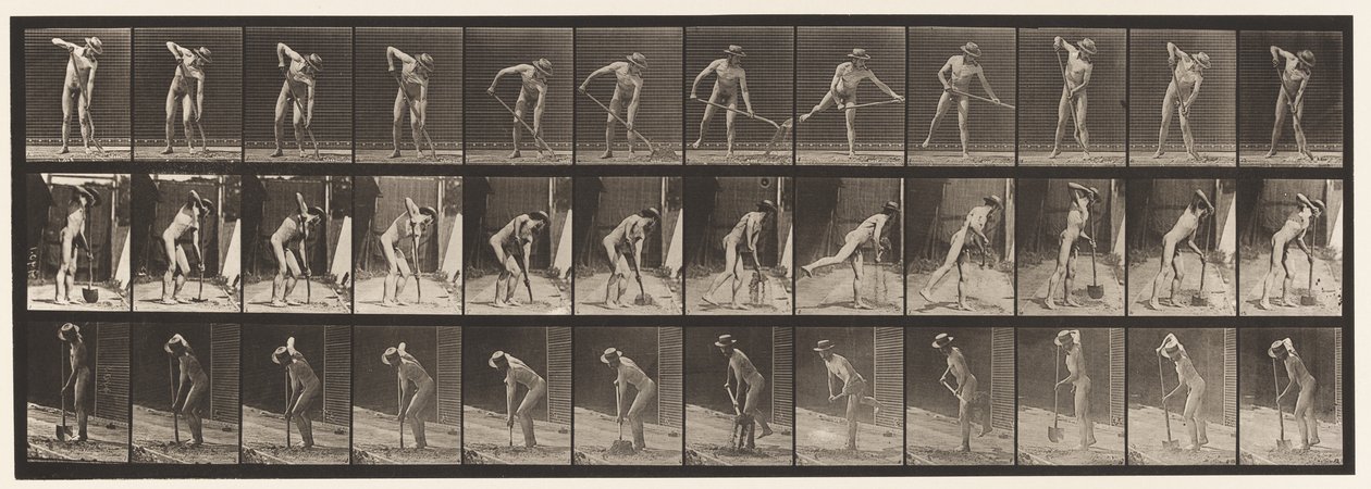 Planche 387. Fermier, utilisant une pelle à long manche - Eadweard Muybridge