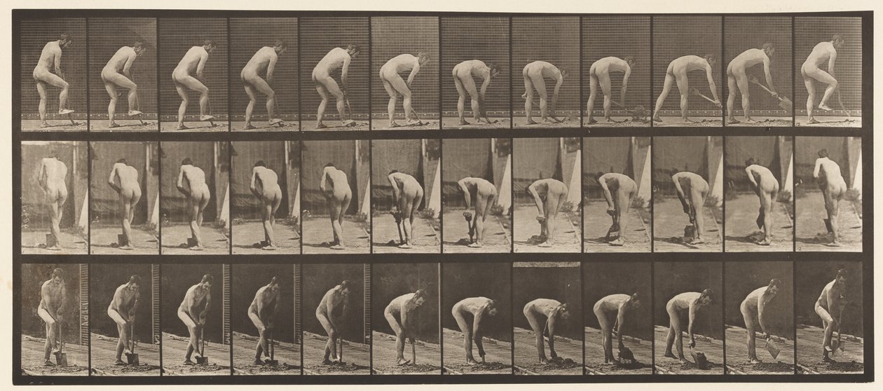 Planche 388. Fermier, utilisant une bêche, 1872-1885 - Eadweard Muybridge