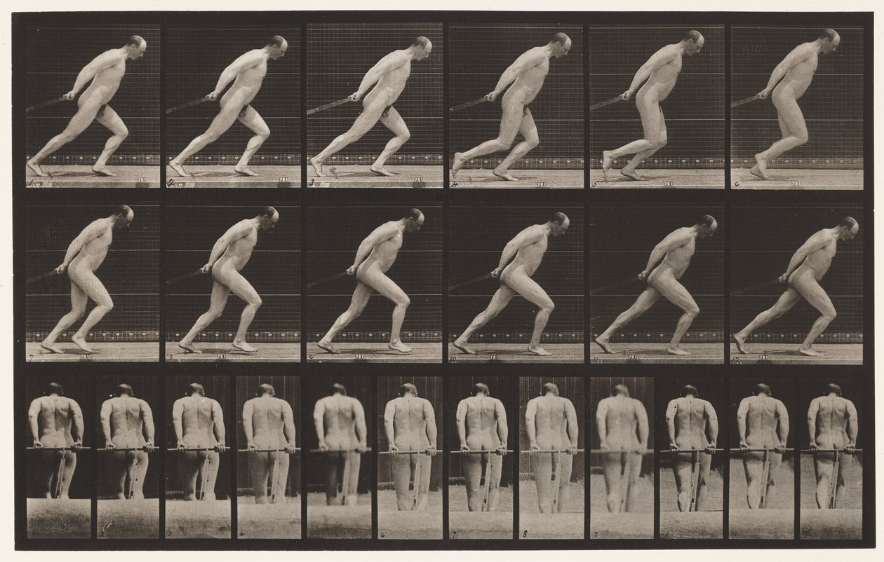 Planche 392. Traîner un rouleau de jardin, 1872-1885 - Eadweard Muybridge
