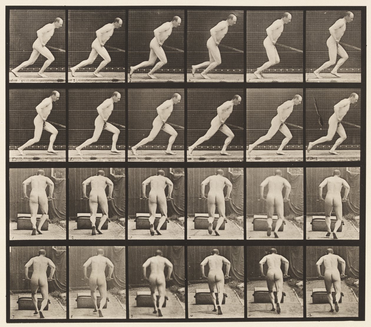 Pousser un Rouleau de Jardin, 1872-1885 - Eadweard Muybridge