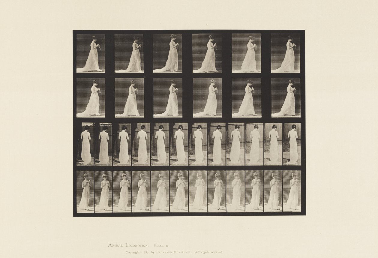 Planche 39. Marche, mains occupées à tricoter, 1872-1885 - Eadweard Muybridge