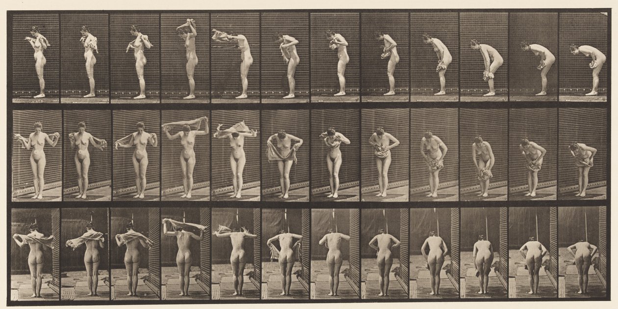 Planche 414. S