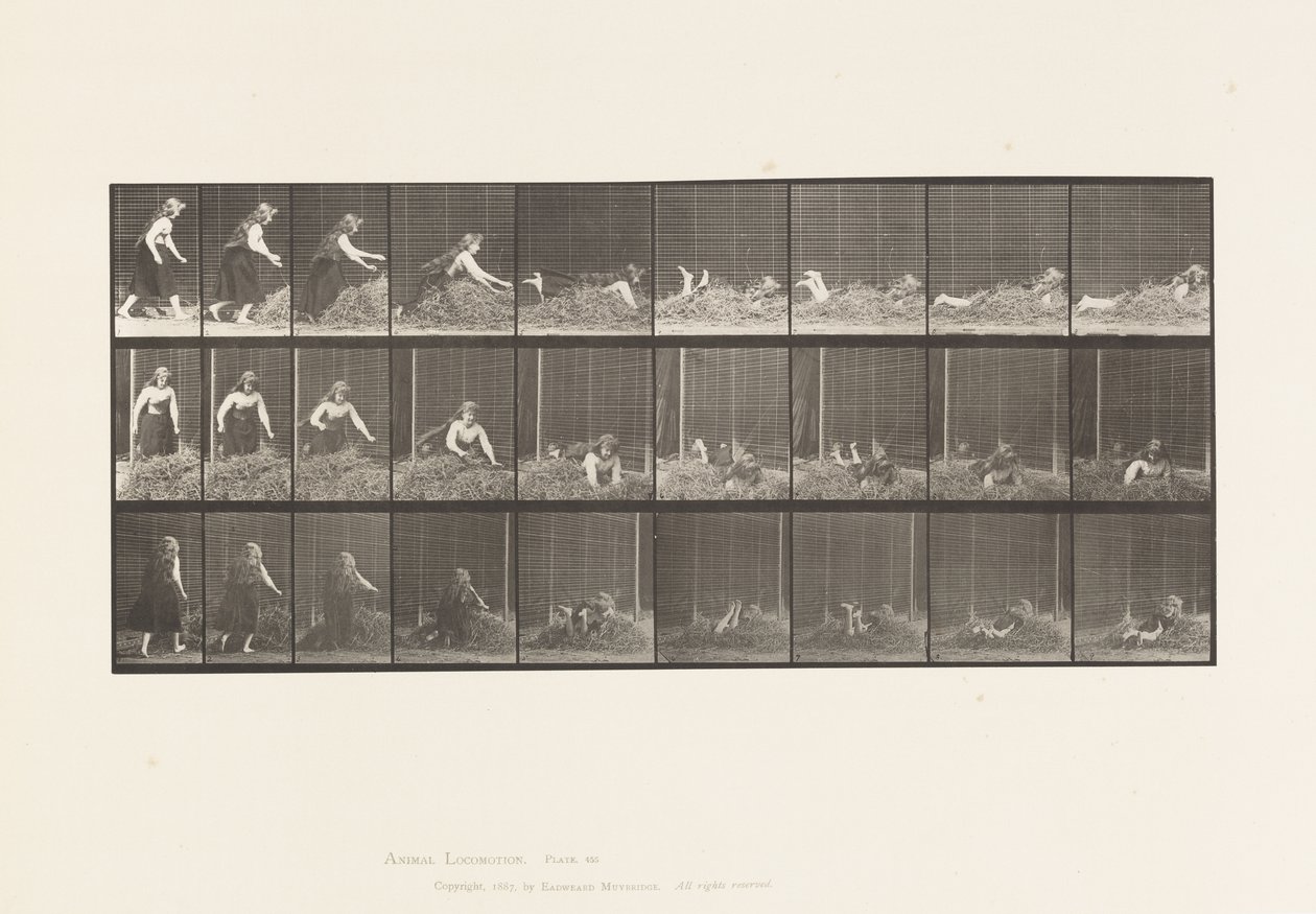 Planche 455. Se jetant sur un tas de foin - Eadweard Muybridge
