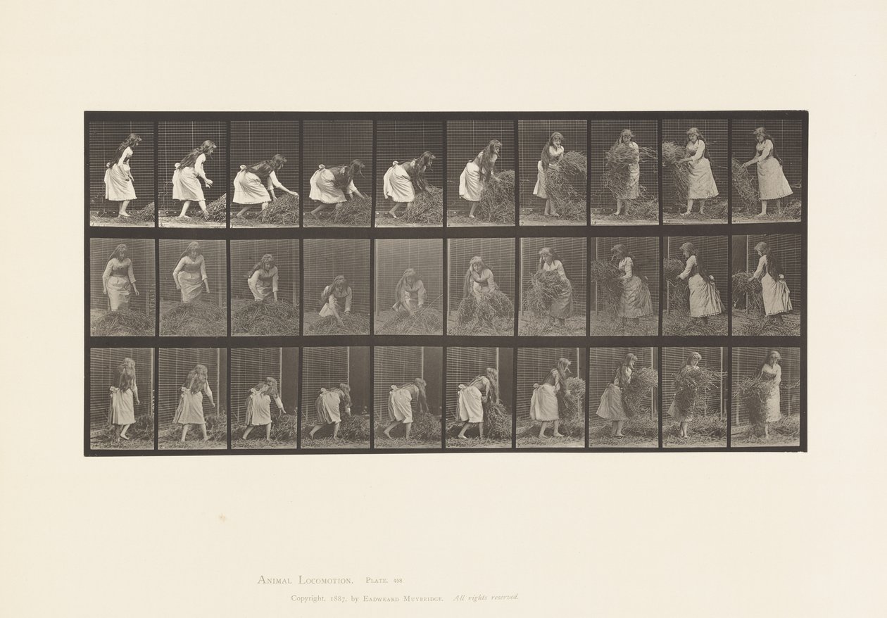 Planche 458. Ramassant des poignées de foin, tournant, les jetant - Eadweard Muybridge