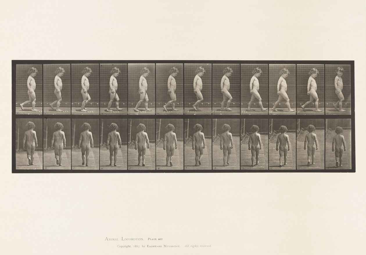 Planche 467. Enfant, marche - Eadweard Muybridge