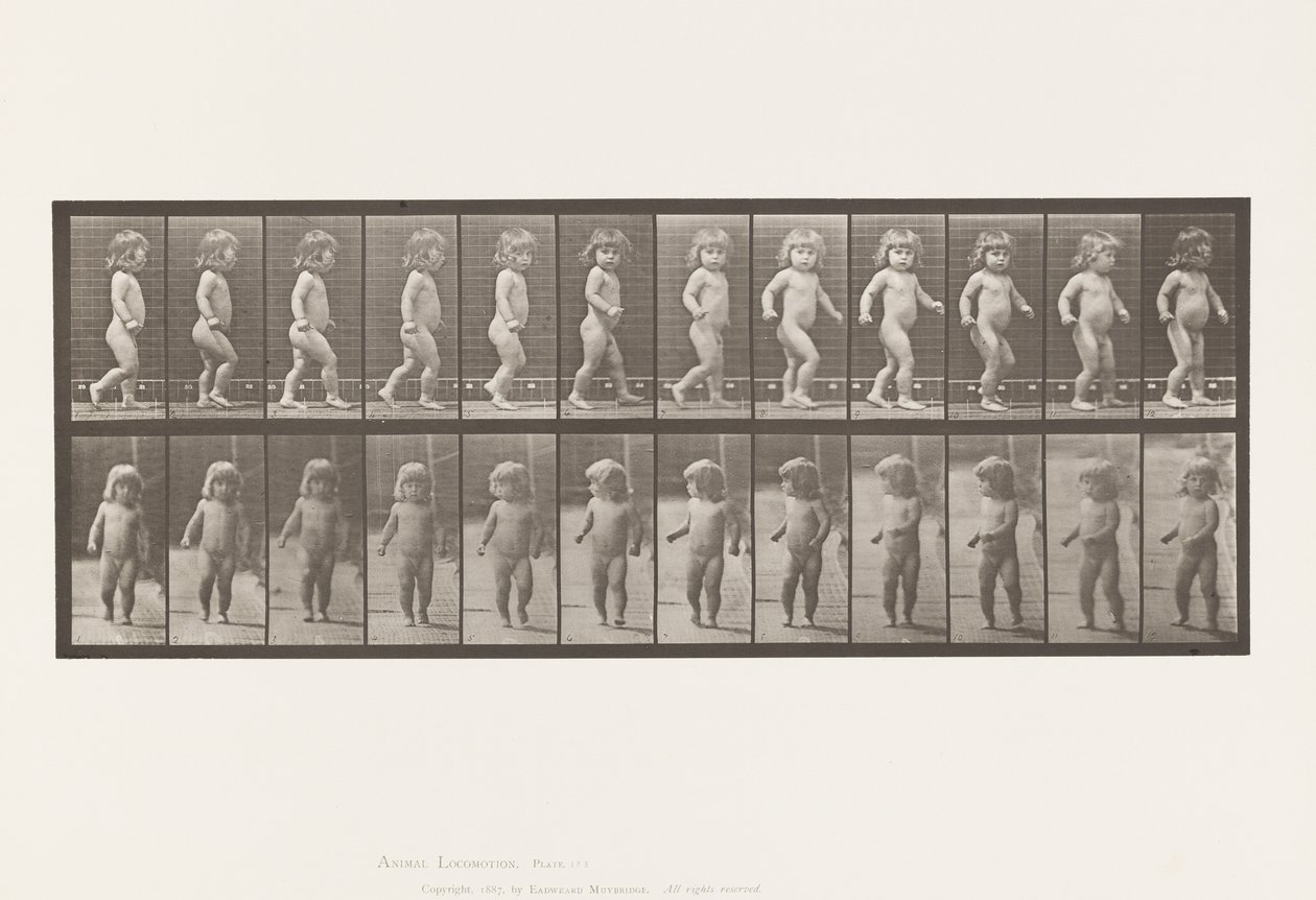 Planche 468. Enfant, marchant - Eadweard Muybridge