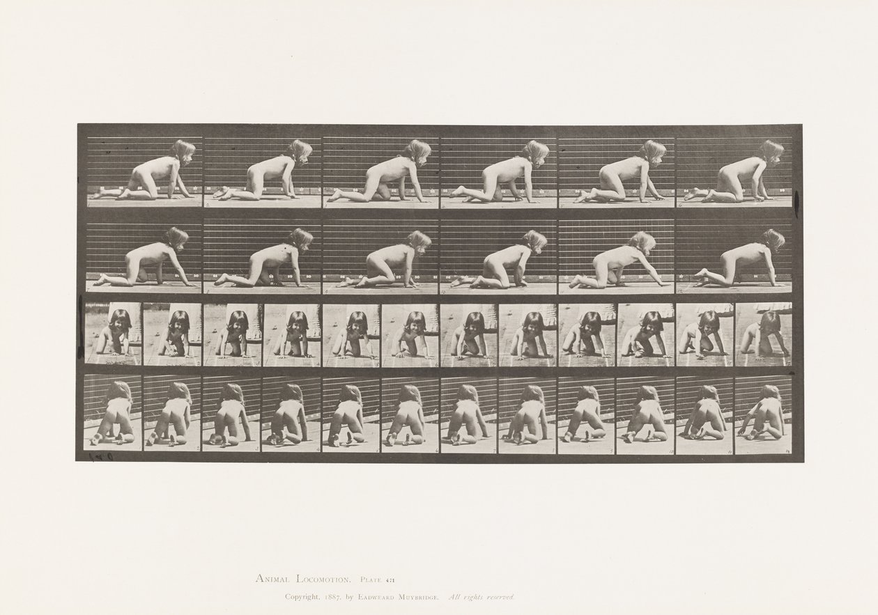 Planche 471. Enfant, rampant sur les mains et les genoux, 1885 - Eadweard Muybridge