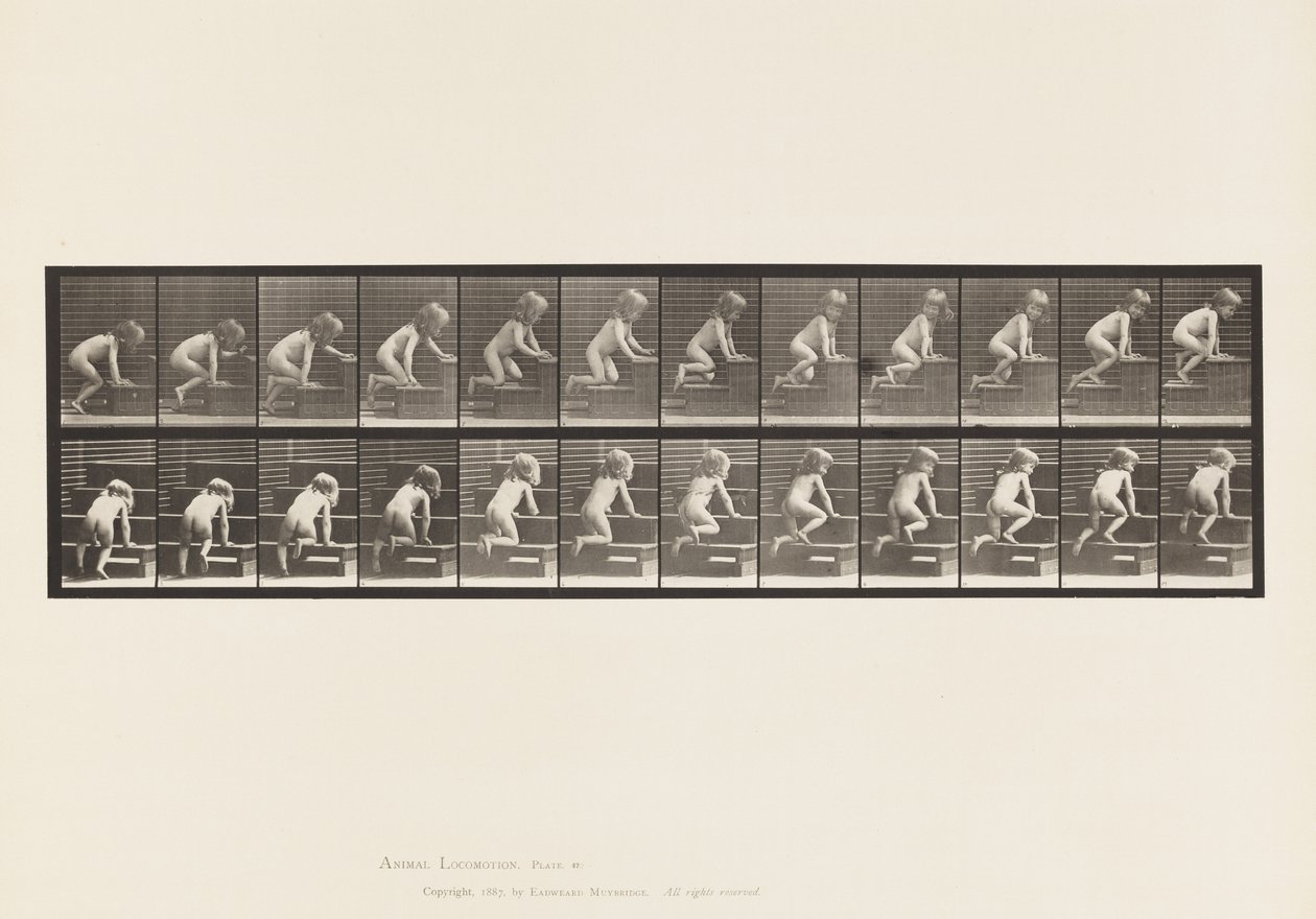 Planche 472. Enfant, rampant dans les escaliers, 1885 - Eadweard Muybridge