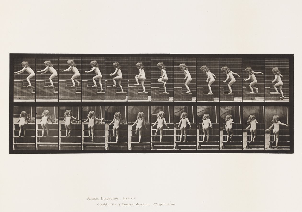 Planche 473. Enfant, montant les escaliers - Eadweard Muybridge