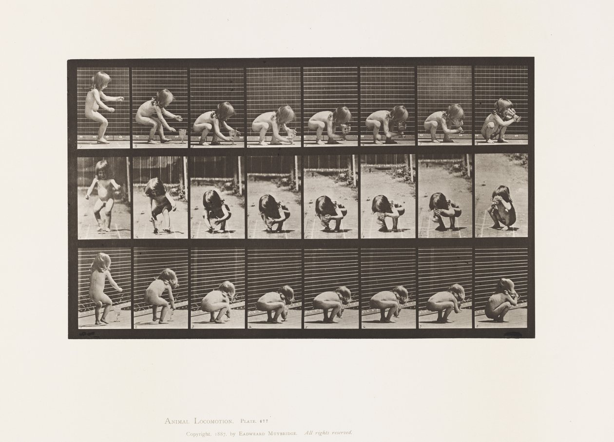 Planche 477. Enfant, se baissant, soulevant un gobelet et buvant - Eadweard Muybridge
