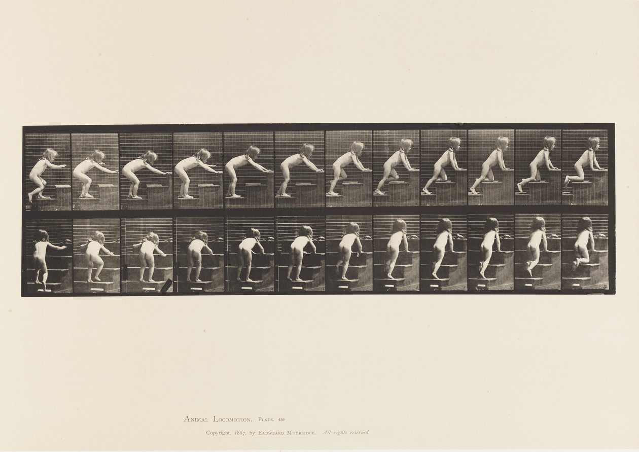 Planche 480. Enfant, marchant et rampant en montant les escaliers - Eadweard Muybridge