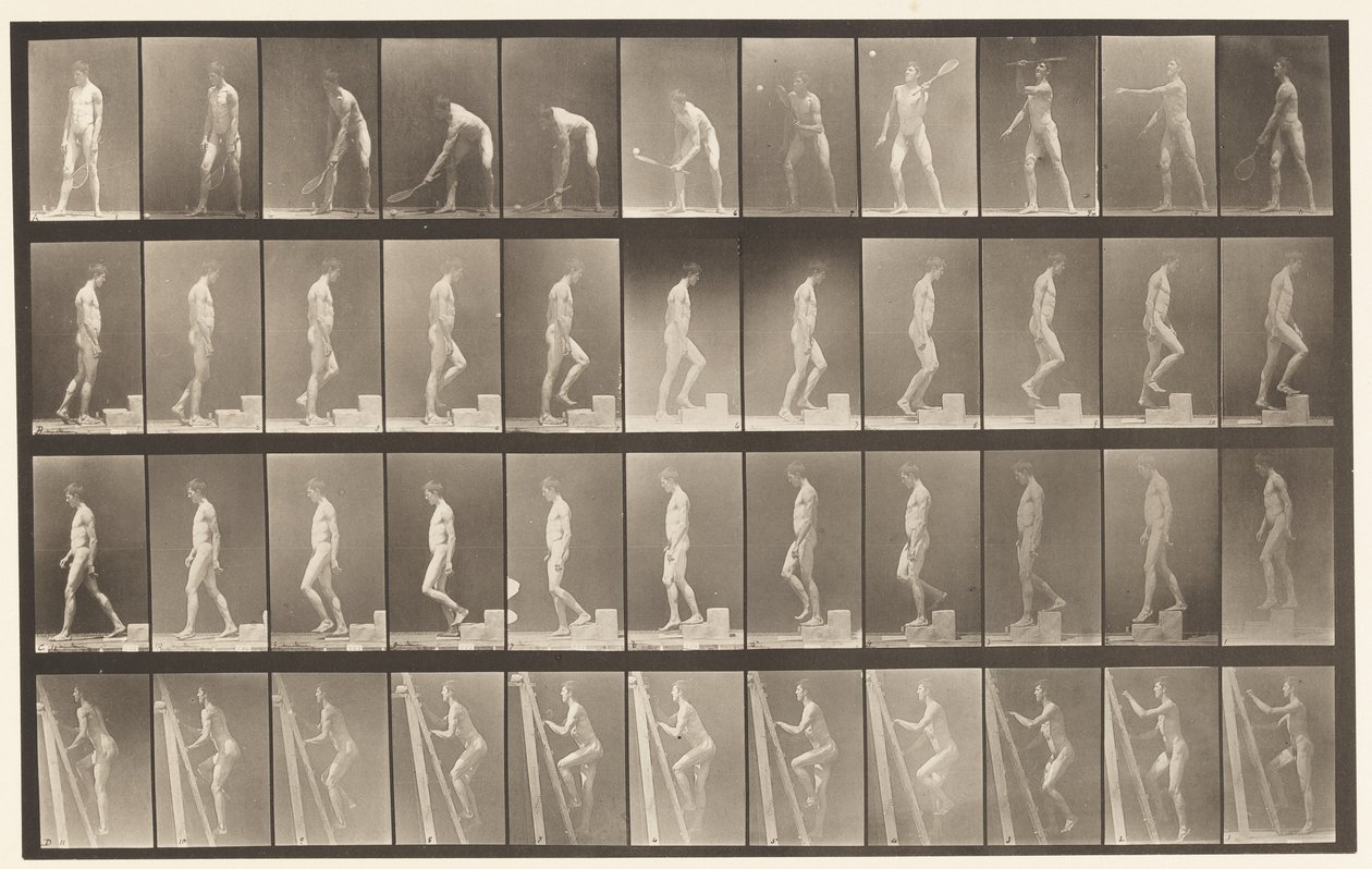 Planche 486. A, Tennis sur gazon; B, Monter une marche, 1872-1885 - Eadweard Muybridge
