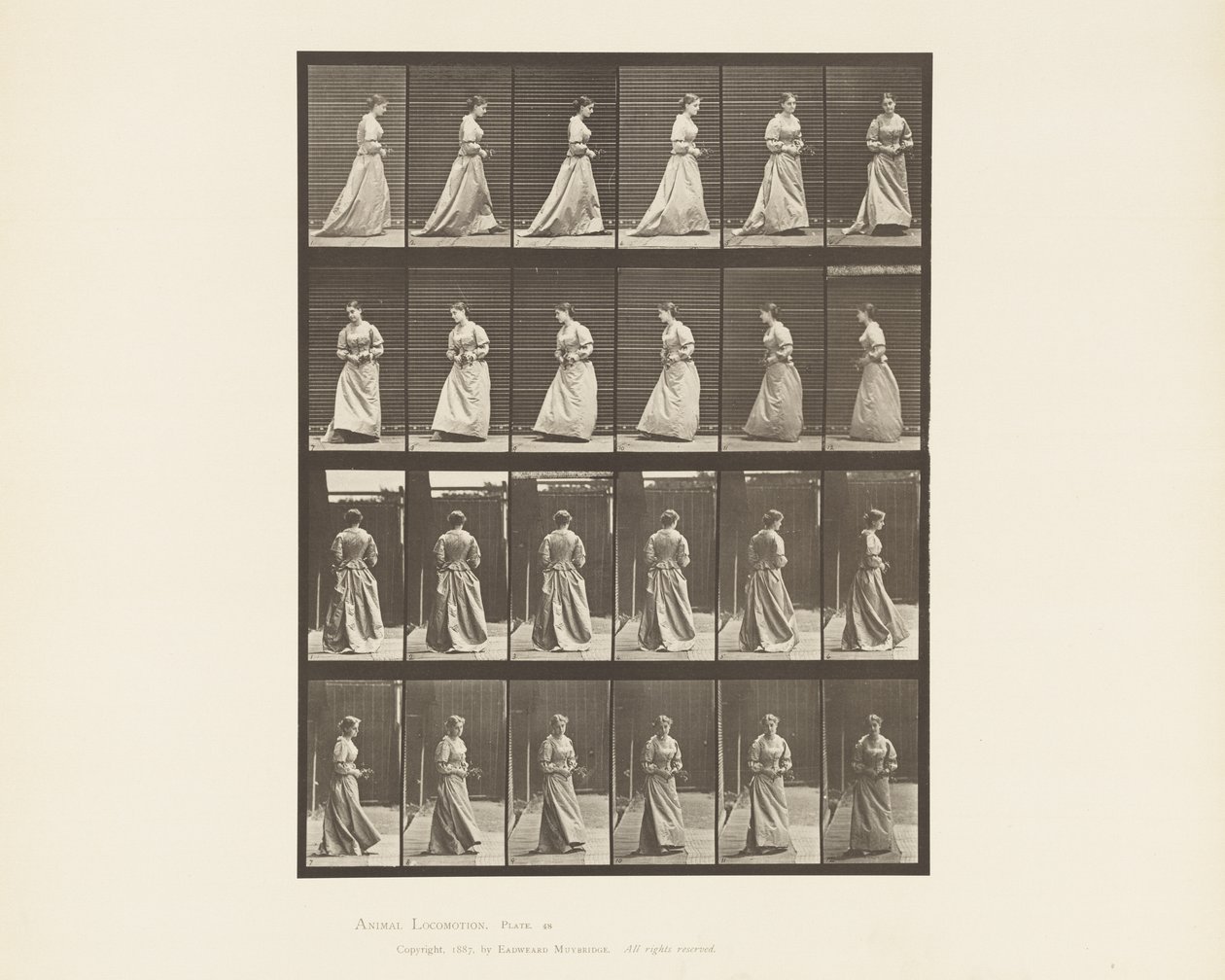 Marcher et Se Retourner, Bouquet dans les Deux Mains, 1885 - Eadweard Muybridge