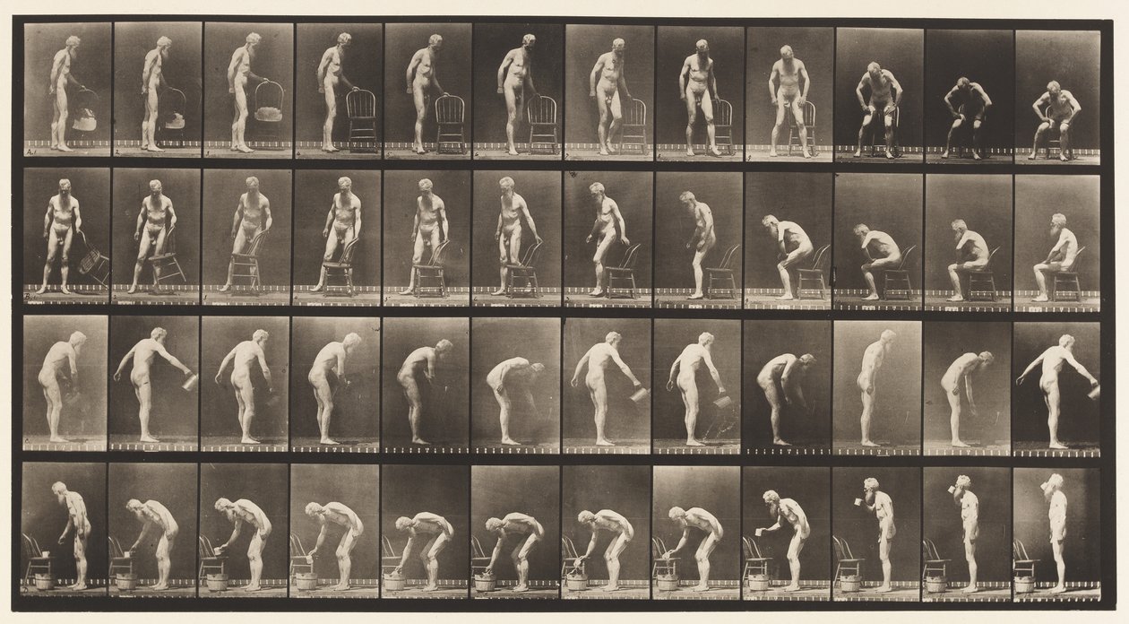 Planche 490. A, S