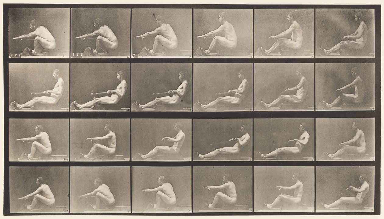 Planche 492. A - Eadweard Muybridge