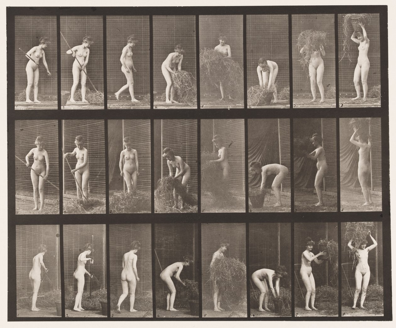 Ratisser et Emballer du Foin, 1872-1885 - Eadweard Muybridge