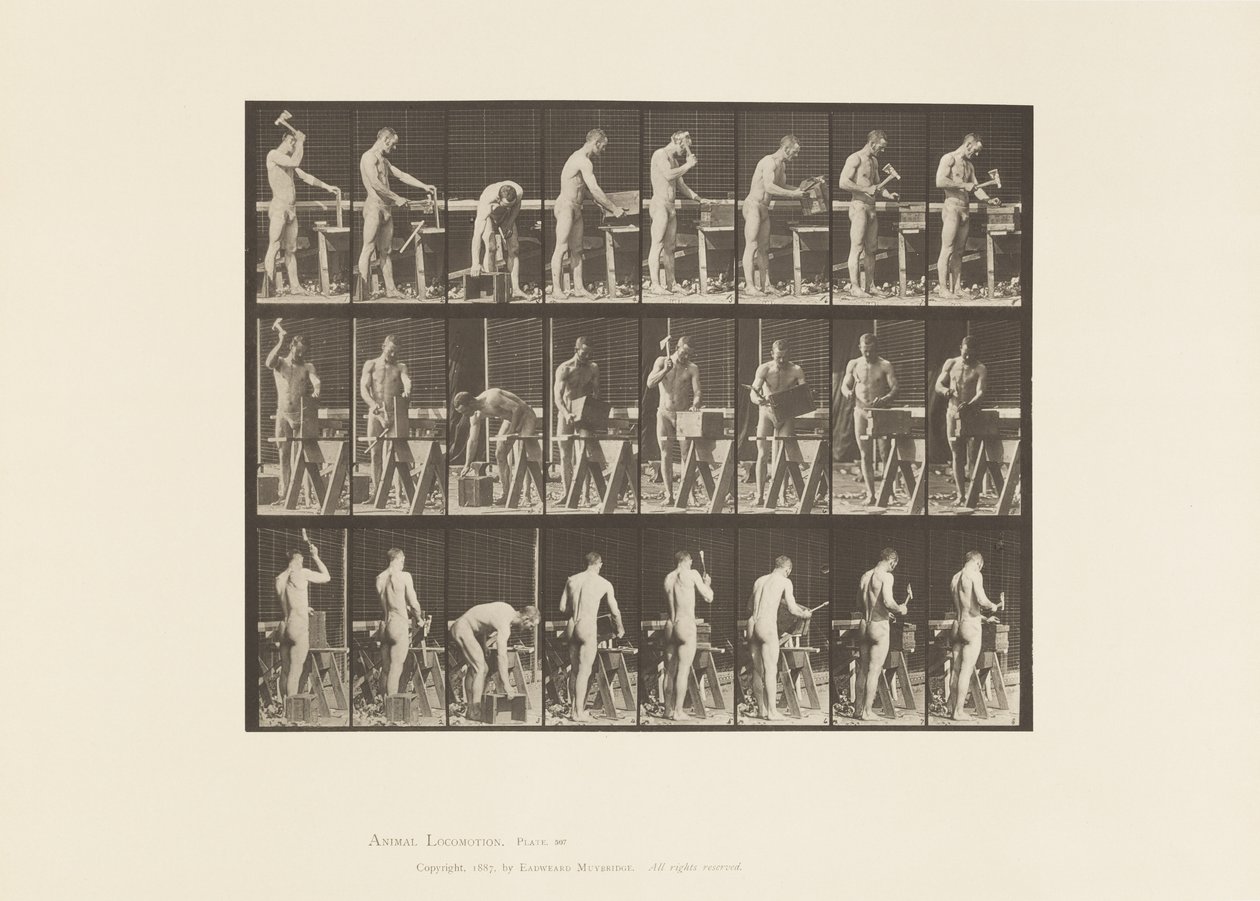 Planche 507. Charpenterie - Eadweard Muybridge