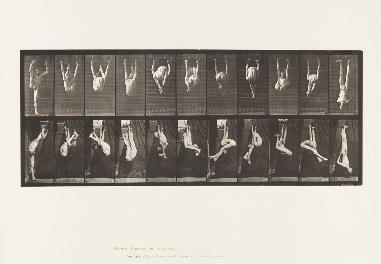 Planche 512. Contorsions sur anneaux - Eadweard Muybridge