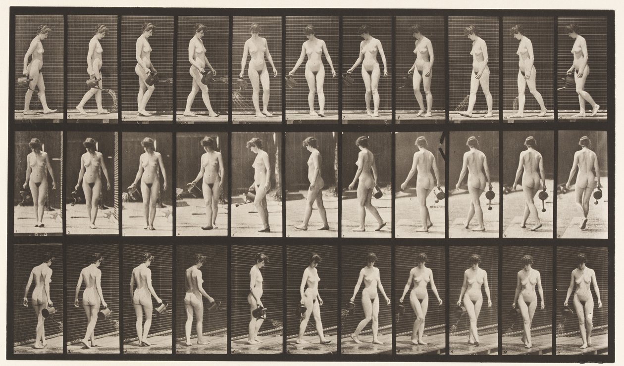 Planche 51. Marcher et se retourner, utilisant un arrosoir, 1872-1885 - Eadweard Muybridge