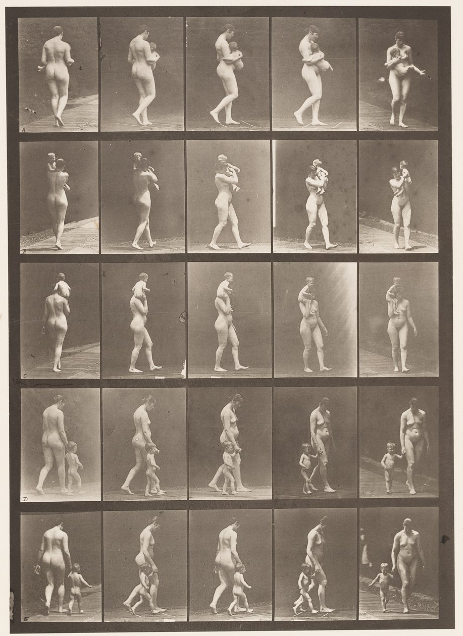 Planche 528. A,B,C - Eadweard Muybridge