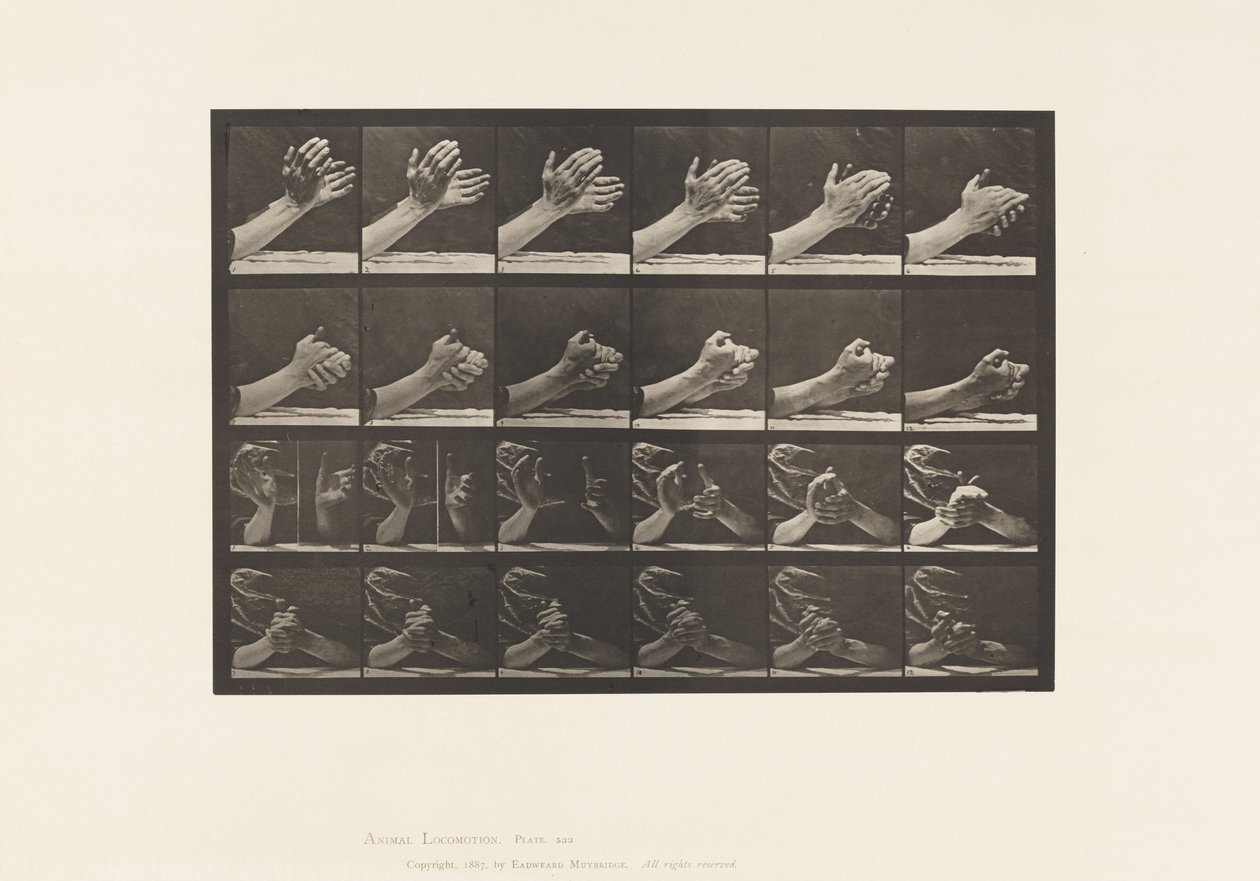Planche 533. Mouvement de la main; Joindre les mains - Eadweard Muybridge