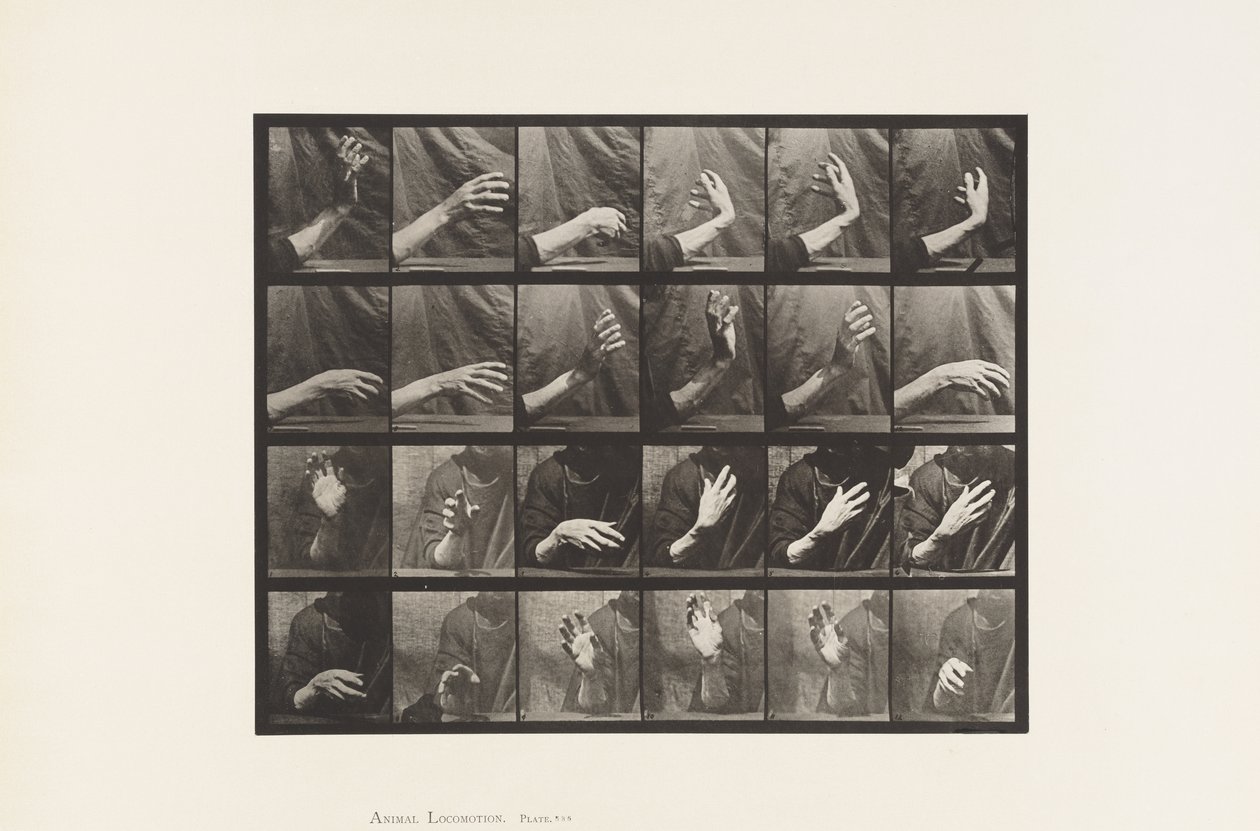 Mouvement de la main; Battre la mesure - Eadweard Muybridge