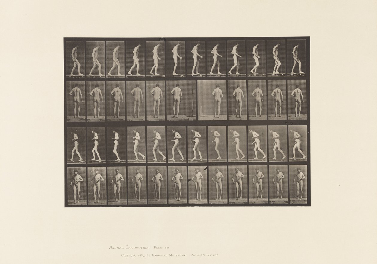 Sclérose latérale; A, B, Marche - Eadweard Muybridge