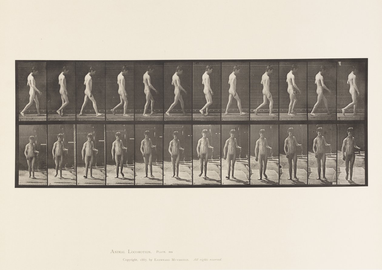Planche 551. Épilepsie ; marche - Eadweard Muybridge