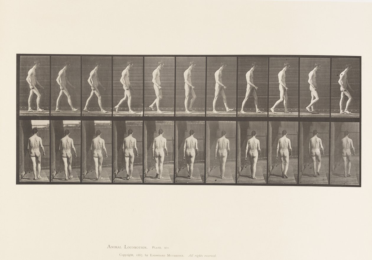 Planche 554. Ataxie locomotrice ; marche - Eadweard Muybridge