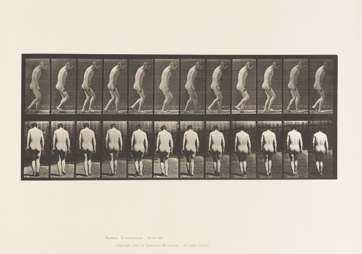 Planche 558. Paraplégie; partielle; marche, 1885 - Eadweard Muybridge