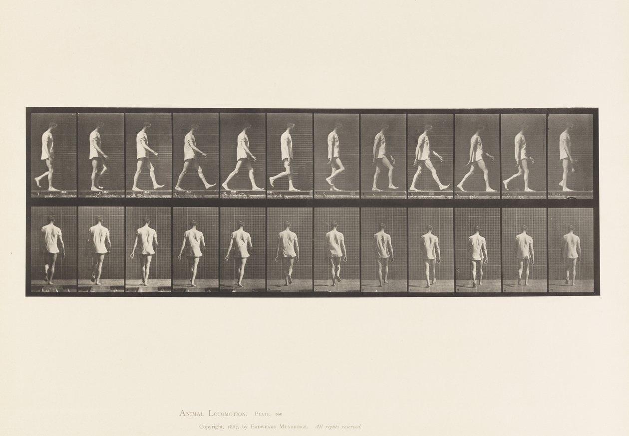 Locomotion ataxique; Marche, 1885 - Eadweard Muybridge