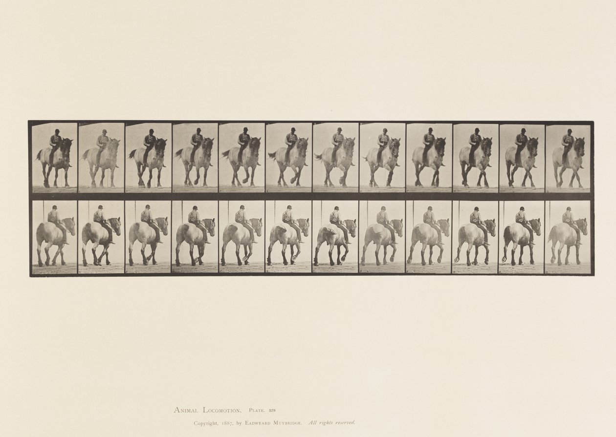 Planche 578. Marche; À Cru; Cheval Belge Gris Foncé Dusel - Eadweard Muybridge