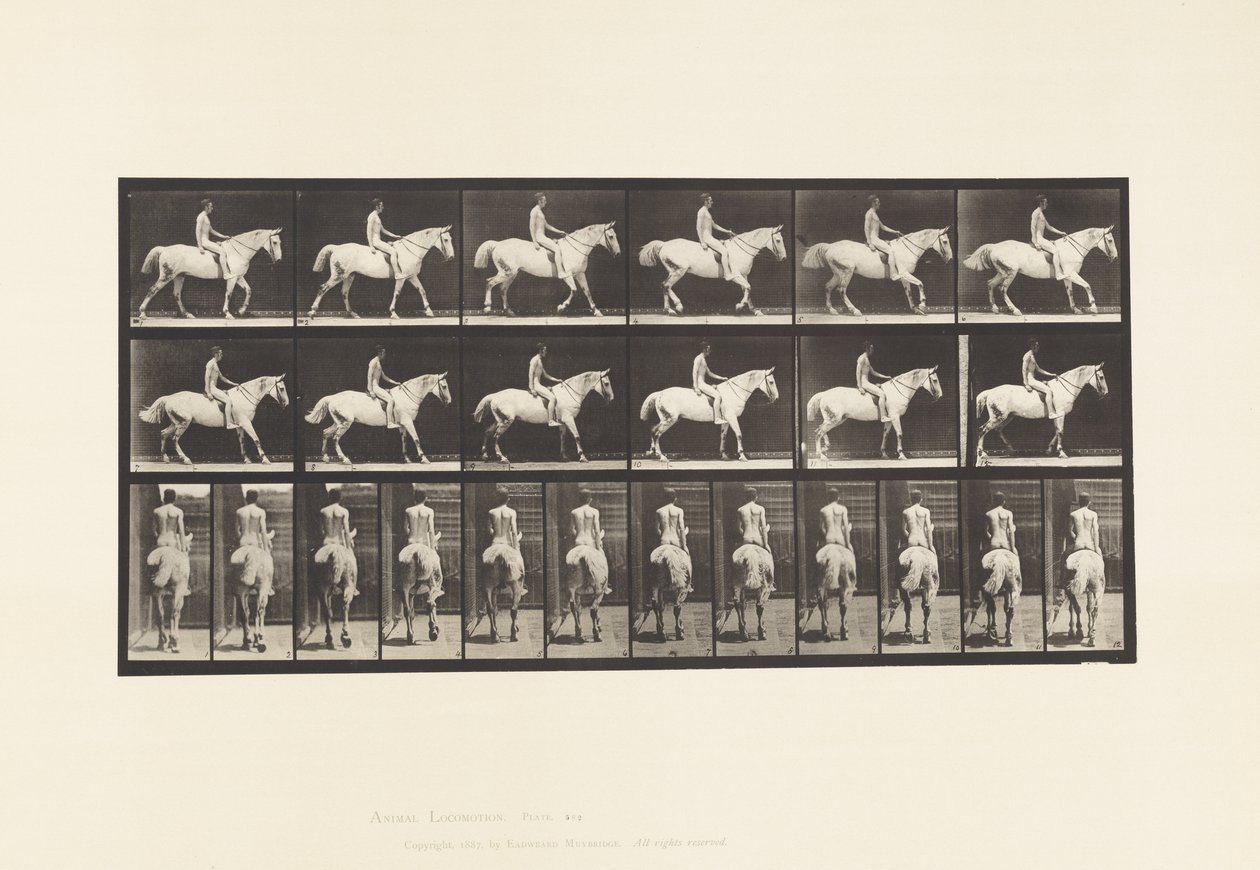 Planche 582. Marche; Selle; Cavalier, 43, Nu; Cheval Gris Clair Smith - Eadweard Muybridge