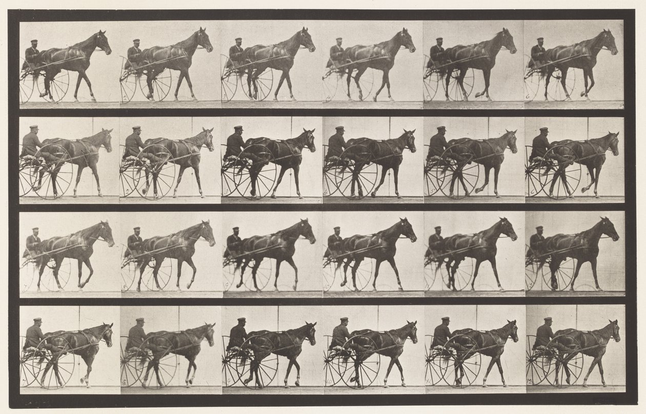 Planche 587. Marcher; Sulky; Jument alezane Nellie Rose - Eadweard Muybridge