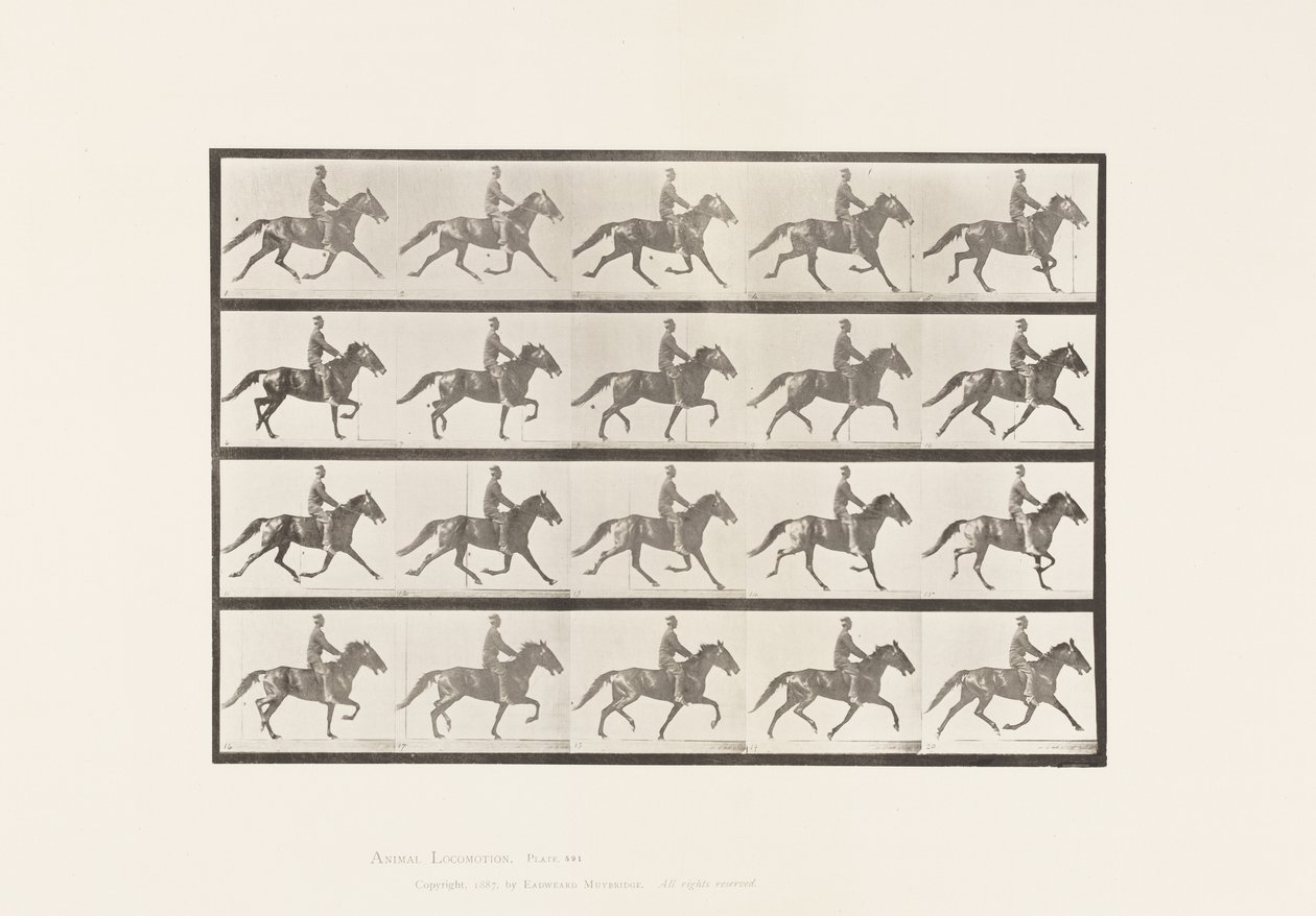 Planche 591. Bercer - Eadweard Muybridge
