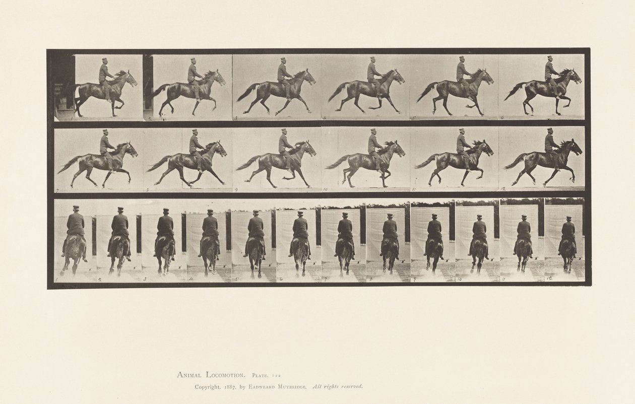 Planche 592. Balancement (Amble); Selle; Cheval Brun Pronto - Eadweard Muybridge